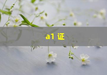 a1 证